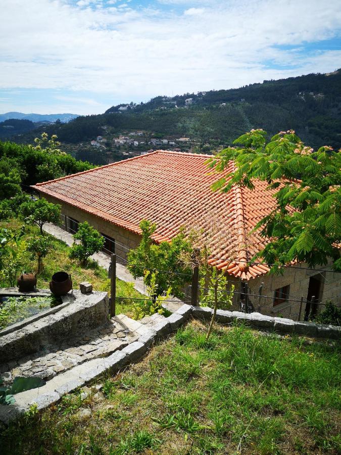 Villa Encosta Do Douro - Rio Douro à Cinfães Extérieur photo
