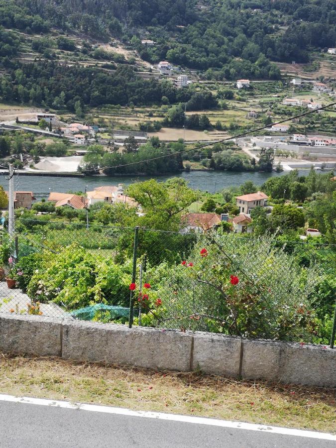 Villa Encosta Do Douro - Rio Douro à Cinfães Extérieur photo