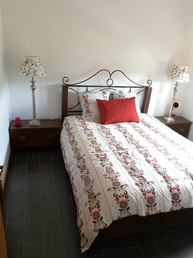 Villa Encosta Do Douro - Rio Douro à Cinfães Extérieur photo