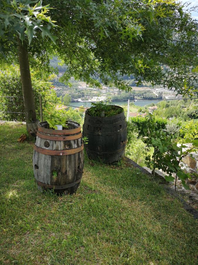 Villa Encosta Do Douro - Rio Douro à Cinfães Extérieur photo
