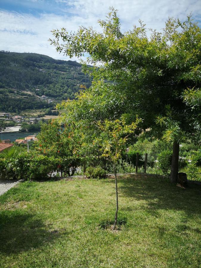 Villa Encosta Do Douro - Rio Douro à Cinfães Extérieur photo