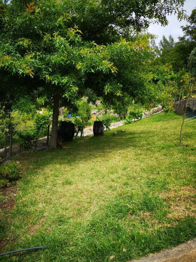 Villa Encosta Do Douro - Rio Douro à Cinfães Extérieur photo